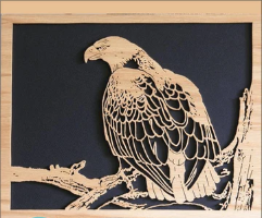 Wall Art  eagle in frame 600x500